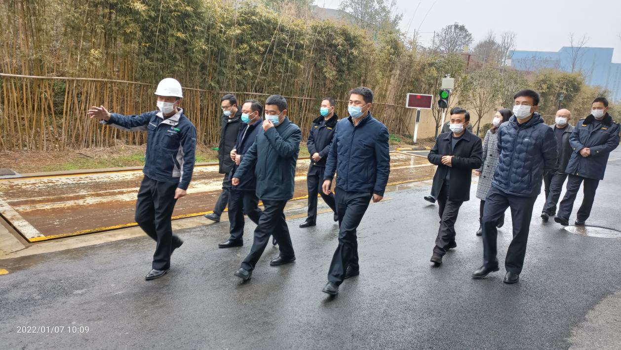 라이브 라이브 바카라